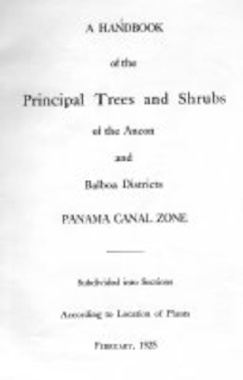 Sobre un libro y un árbol