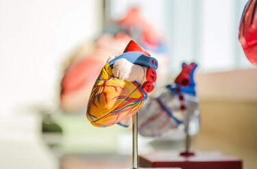 Cómo sobrellevar las cardiopatías congénitas