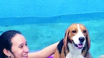 Consentidos: ‘Lukas’, el juguetón