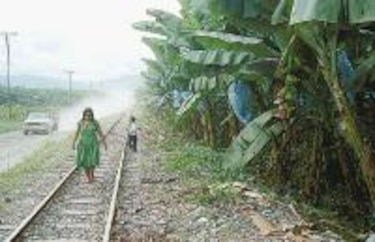 Cambios en Chiquita no afectarán a bananeras