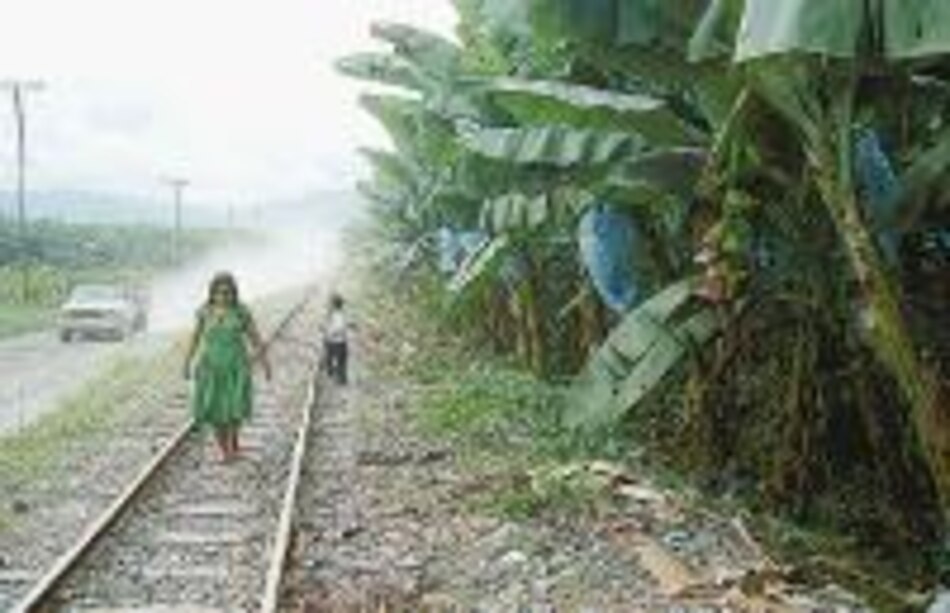 Cambios en Chiquita no afectarán a bananeras