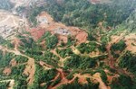 Petaquilla Gold ya extrajo 12 mil onzas de oro y plata