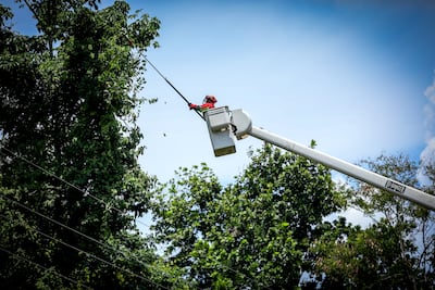 Trabajos de mantenimiento en la red eléctrica del 16 al 22 de marzo de 2026