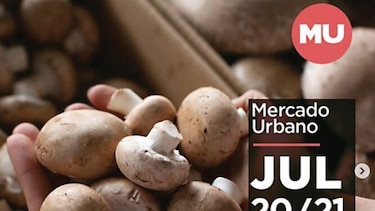 Domingo de Mercado Urbano