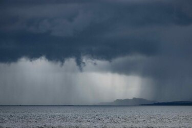 Los océanos no esperan: la COP30 enfrenta un triple desafío para preservar vivas sus aguas