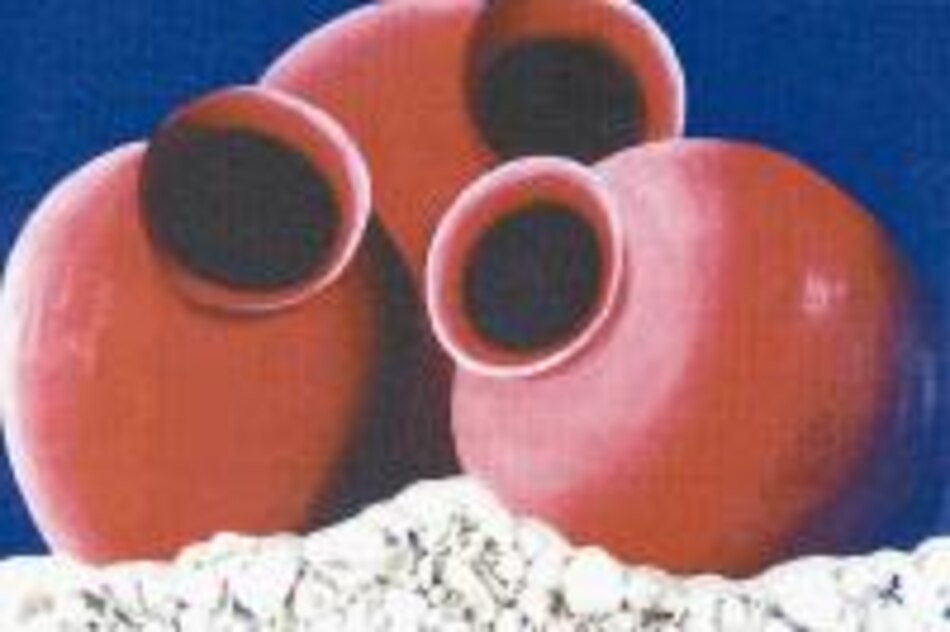 Tinajas en el Smithsonian