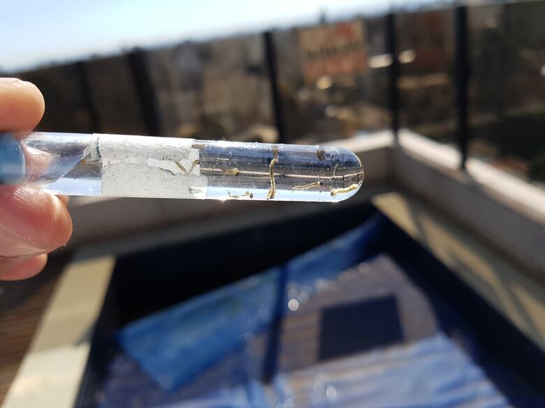 El dengue está al acecho en Panamá: 3 mil 215 casos en 12 semanas epidemiológicas