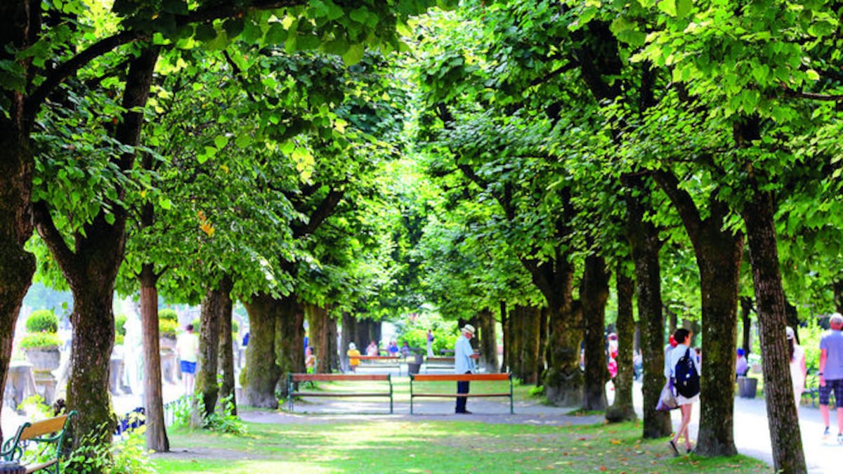 Salzburgo, la pequeña ciudad que todo lo tiene