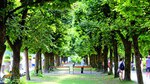 Salzburgo, la pequeña ciudad que todo lo tiene