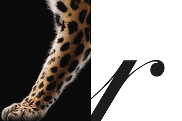 Cartier celebra a su ícono felino