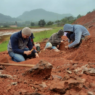 Las inundaciones en Brasil revelaron un fósil de dinosaurio de 233 millones de años