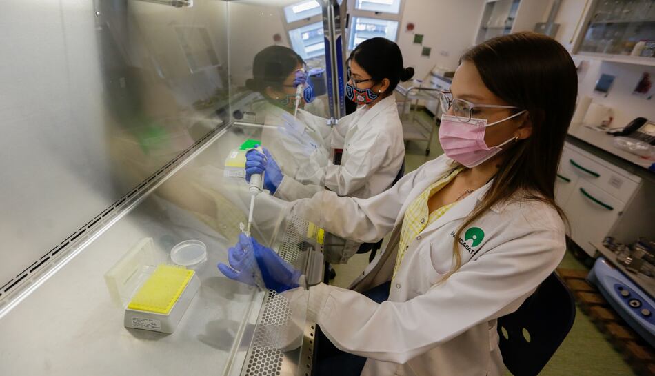 El número de becarios de Senacyt suma 836