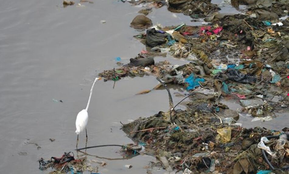 Papa declara 'emergencia' por plásticos en los mares