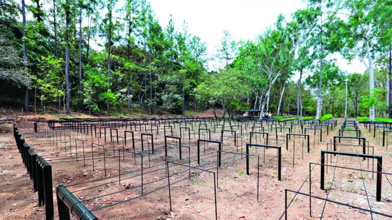 Esperanza germina en San Roquito