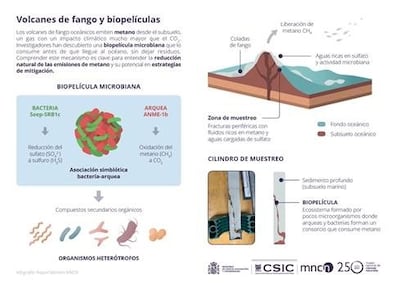 Descubren una comunidad microbiana del golfo de Cádiz capaz de frenar las emisiones de metano