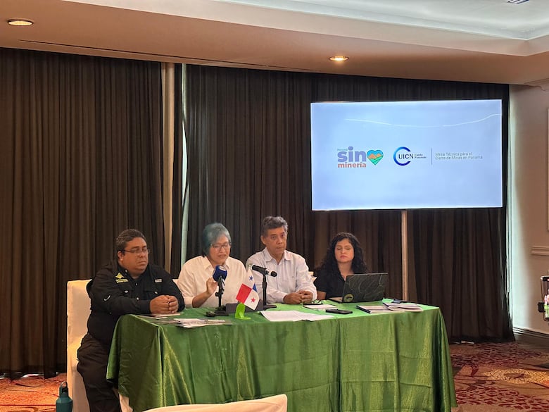 Auditoría minera: ambientalistas señalan exclusión de compromisos ambientales acordados en consulta pública