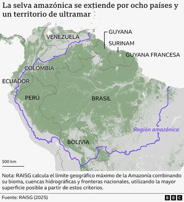 Los gráficos, mapas y fotos que muestran la lenta muerte de la Amazonía y por qué el mundo debería preocuparse