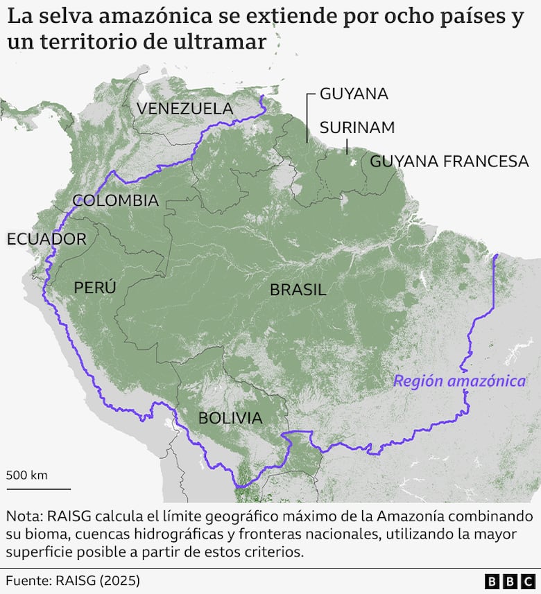 Los gráficos, mapas y fotos que muestran la lenta muerte de la Amazonía y por qué el mundo debería preocuparse