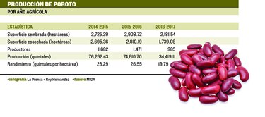 Abren las puertas para la importación de granos