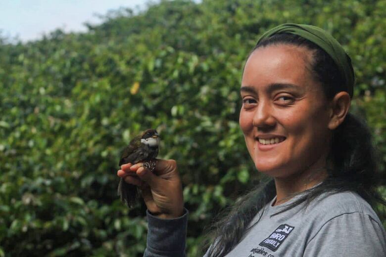 Bebe café, come chocolate y... ¡salva a las aves!