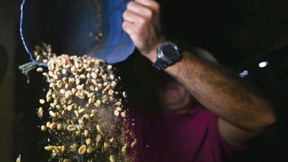 Colombia incentivará siembra de café