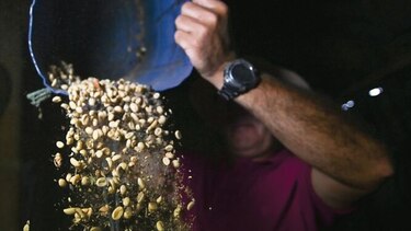 Colombia incentivará siembra de café