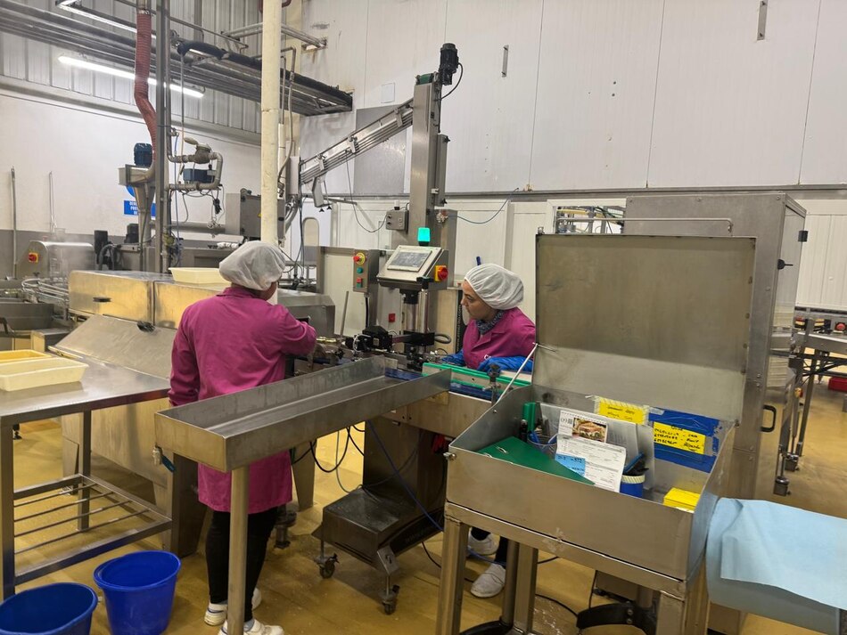 Panamá busca fortalecer el sector pesquero con la experiencia española