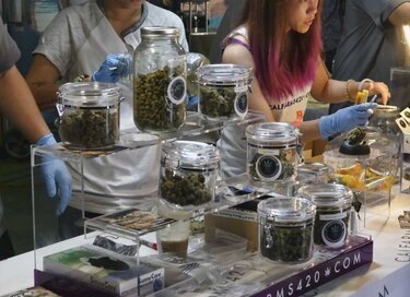 El Congreso de México aprueba uso medicinal de la marihuana