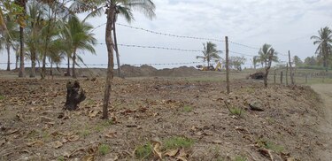 Refugio de tortugas, en riesgo por daño a playa en Veraguas