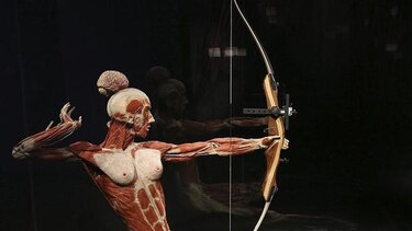Abren el primer museo de cuerpos humanos en Berlín