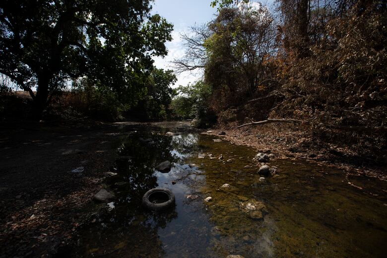 Cuenca media y baja del río Estibaná, en Los Santos, presenta niveles alarmantes de contaminación