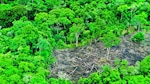 Panamá 2040: ciencia, tecnología y el camino hacia un país exitoso