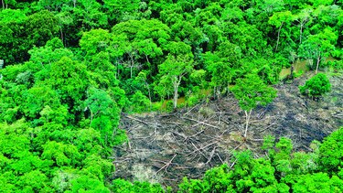 Panamá 2040: ciencia, tecnología y el camino hacia un país exitoso