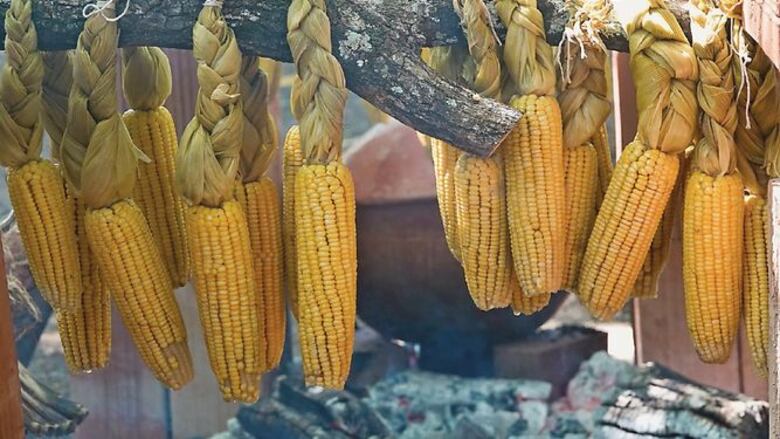 Panga Nómada en Punta Fogón