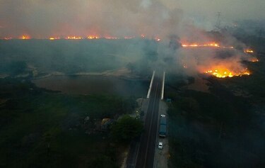 Incendios de dimensiones nunca vistas devoran parte del Pantanal brasileño