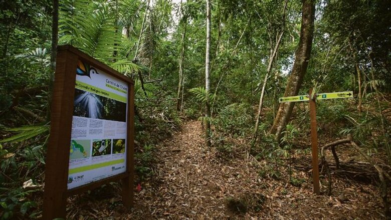 Tres caminos a orillas del Canal de Panamá