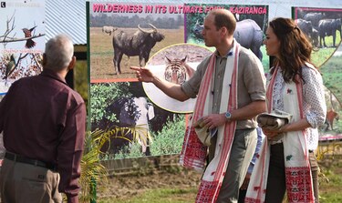 Duques de Cambridge disfrutan de safari en noreste de India