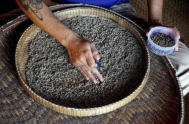 Pimienta camboyana conquista el mundo culinario