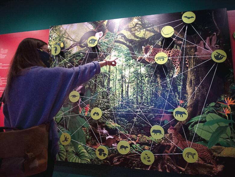 Exposición ‘Agua Salud’