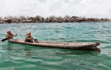 En sintonía con la naturaleza