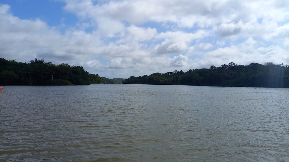 El Ministerio de Ambiente reduce los límites del área protegida de Donoso