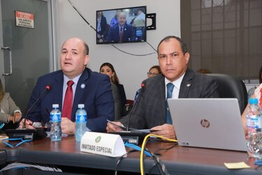 Presupuesto del TE: $234 millones para el año de las elecciones generales
