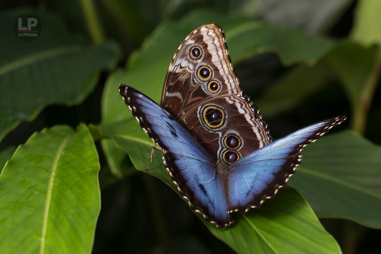 El Valle de Antón y su vocación turística