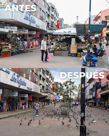 Desmontan puestos informales en La Peatonal; detectan graves problemas de insalubridad