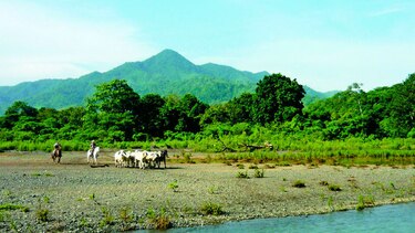 DGI ordena secuestro de bienes de sociedad que 'asesoró' a Hidalgo & Hidalgo