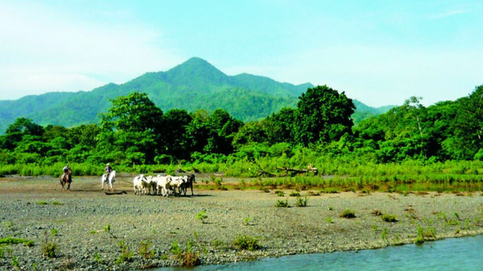 DGI ordena secuestro de bienes de sociedad que 'asesoró' a Hidalgo & Hidalgo