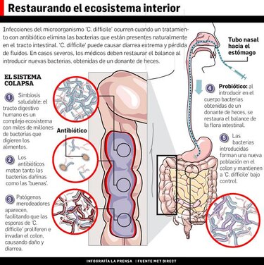Gemelos, ‘ómicas’ y medicina de precisión