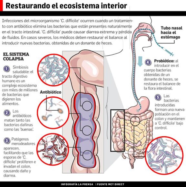 Gemelos, ‘ómicas’ y medicina de precisión