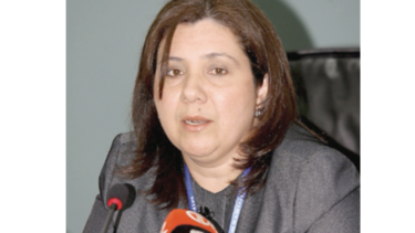 Un amparo para salvar el caso FCC