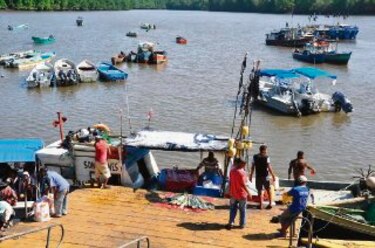 Rescatarán atractivo de Puerto Mutis